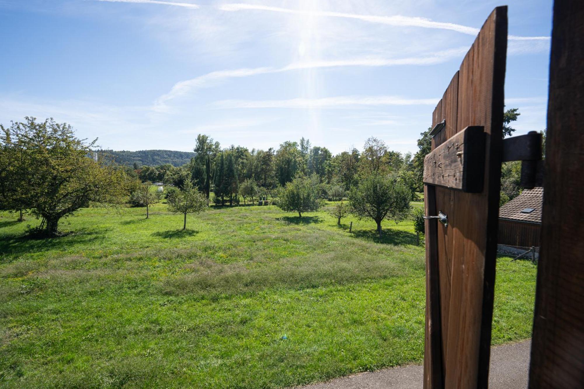 Tiny House Chez Claudine - Relaxen, Workspace, Naehe Thermen, Netflix, Free Parking & Wifi ブルック エクステリア 写真